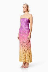 Elliatt Mesmerizing Ombre Lace Maxi Dress In Multi