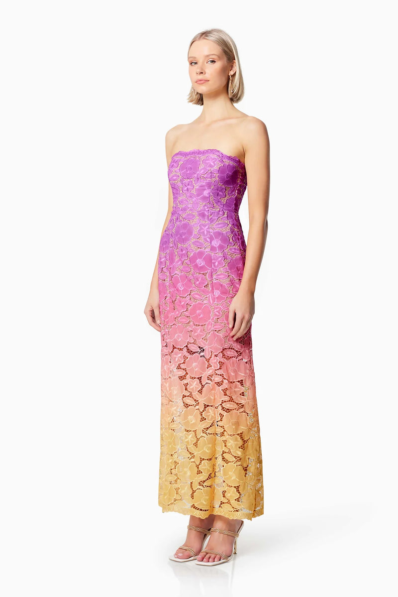 Elliatt Mesmerizing Ombre Lace Maxi Dress In Multi