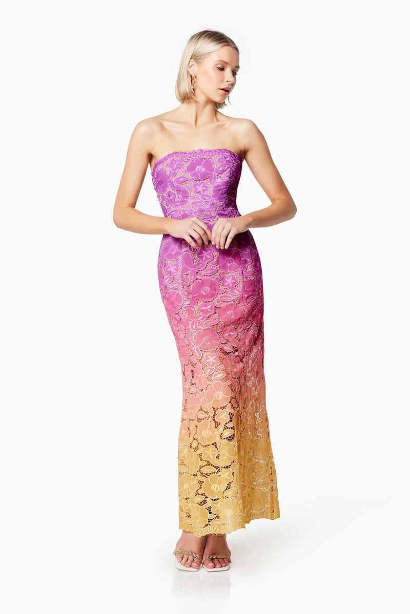 Elliatt Mesmerizing Ombre Lace Maxi Dress In Multi