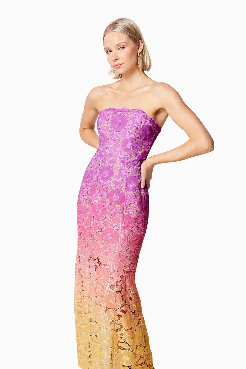 Elliatt Mesmerizing Ombre Lace Maxi Dress In Multi